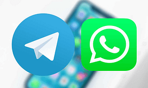 WhatsApp Business ou Telegram Premium